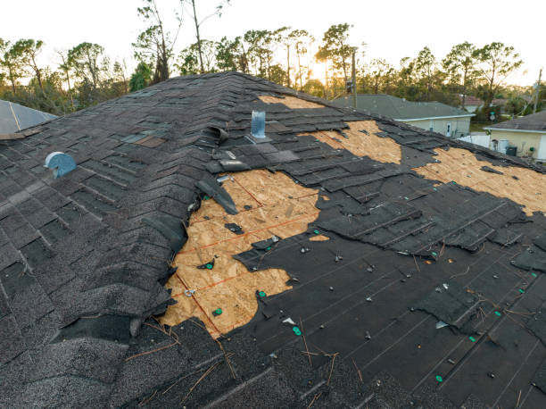 Skylights in Woodmore, MD